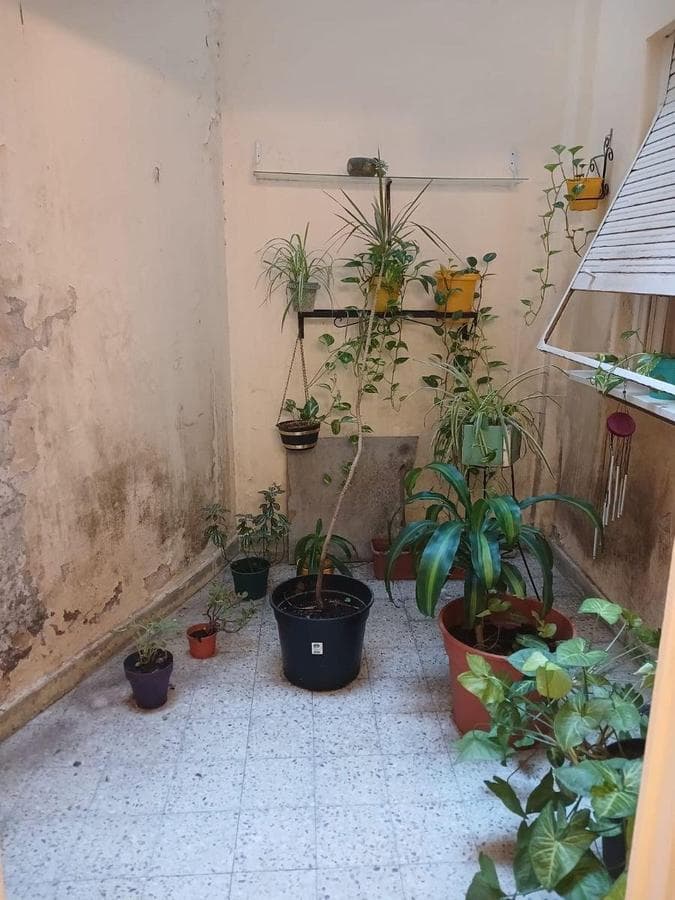 75 m² apartment. 3 rooms on the ground floor with 2 patios