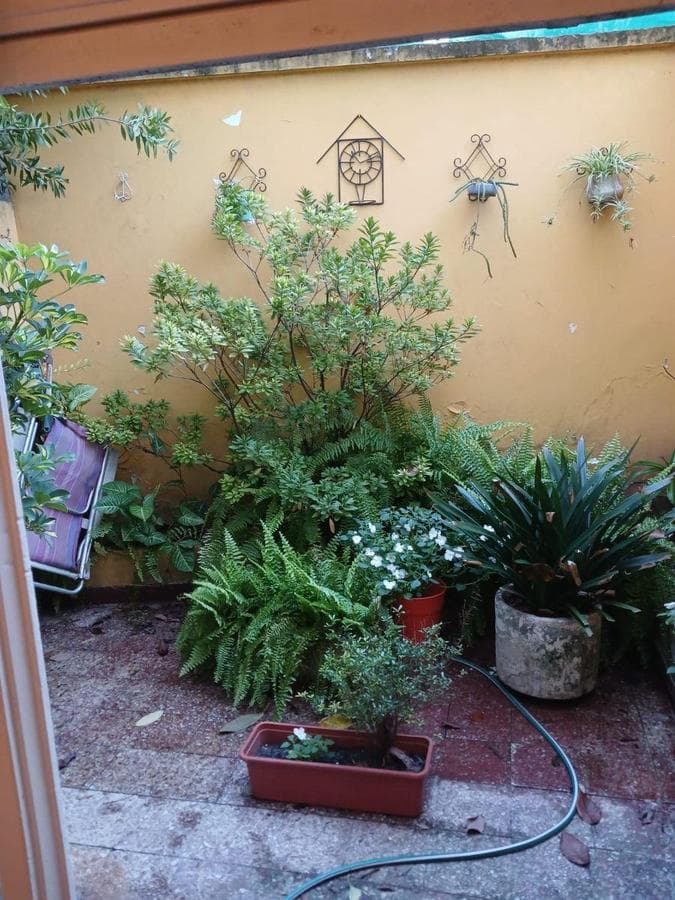 75 m² apartment. 3 rooms on the ground floor with 2 patios