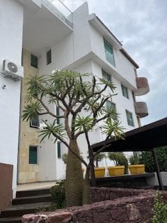 Apartment in Milenio