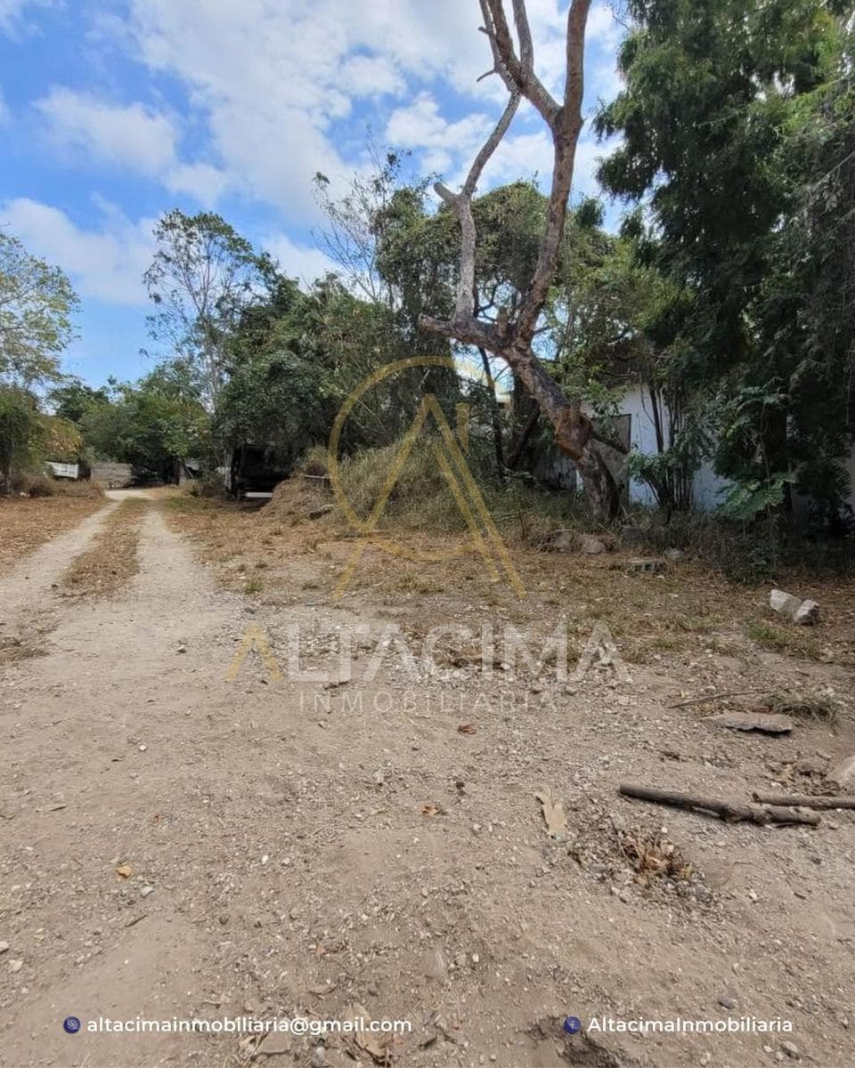 Land in Las Américas
