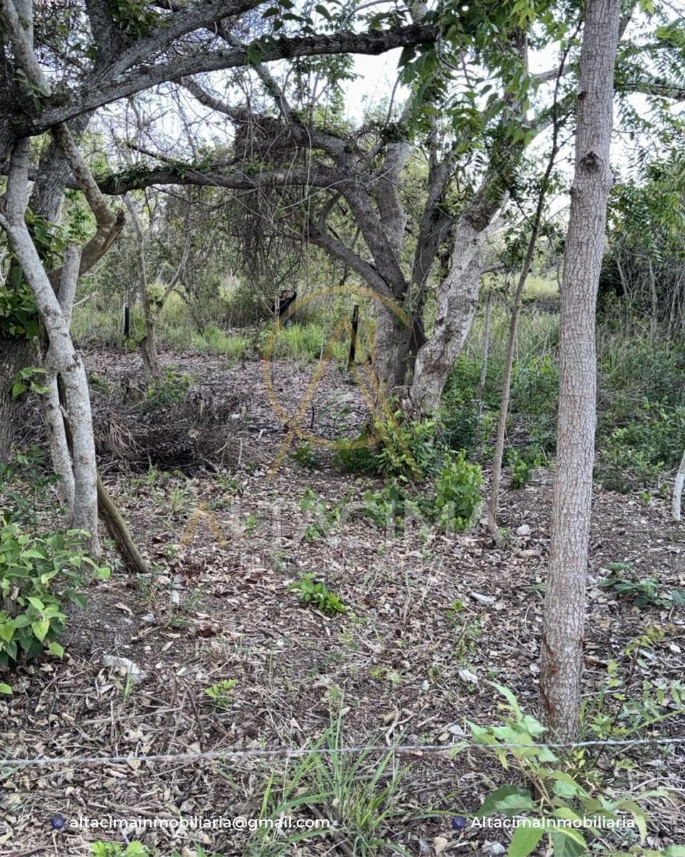 Lot in Tampico Alto Centro