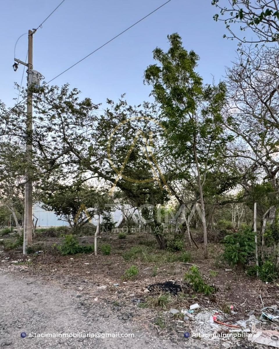Lot in Tampico Alto Centro