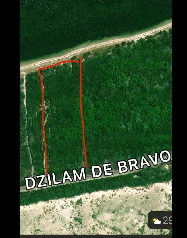 Oceanfront lot in Dzilam de Bravo, measuring 82 meters wide by 190 meters deep
