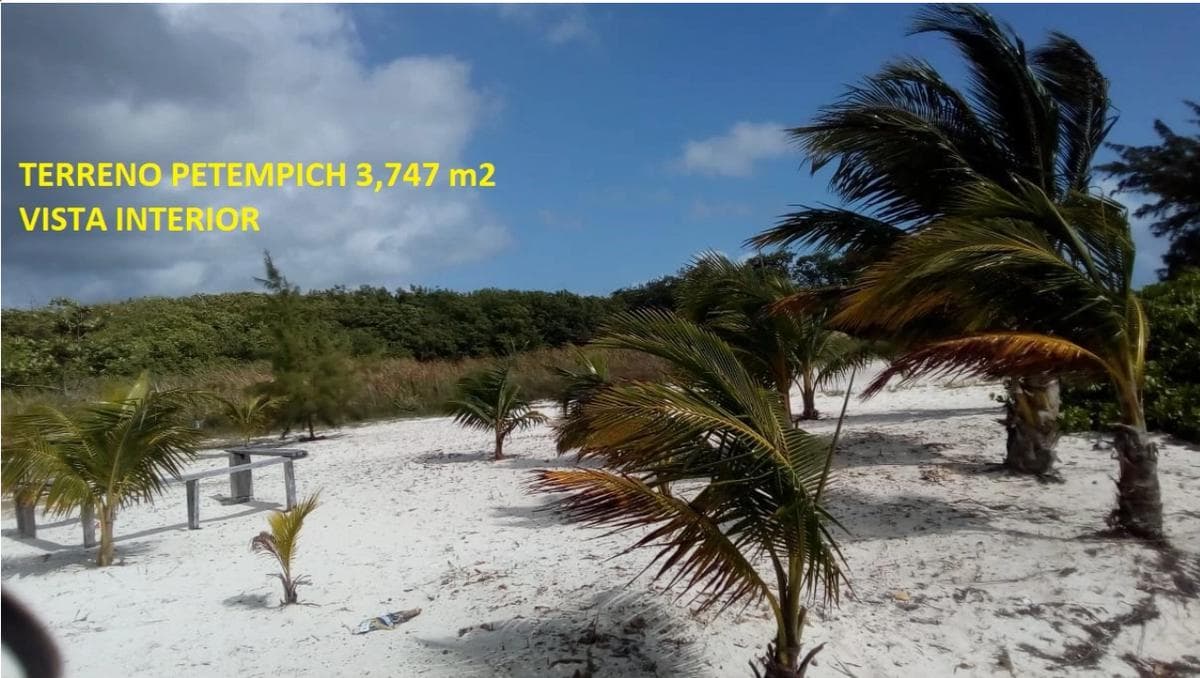 3,747 m2 Lot for Sale in Bahía Petempich, Puerto Morelos, Cancún