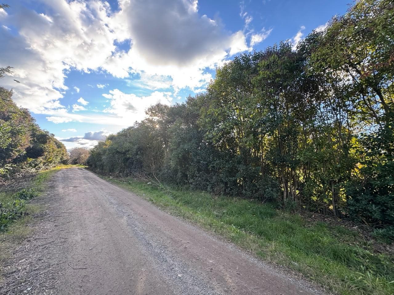 LAND FOR SALE IN VILLA ELISA – IDEAL FOR DEVELOPERS