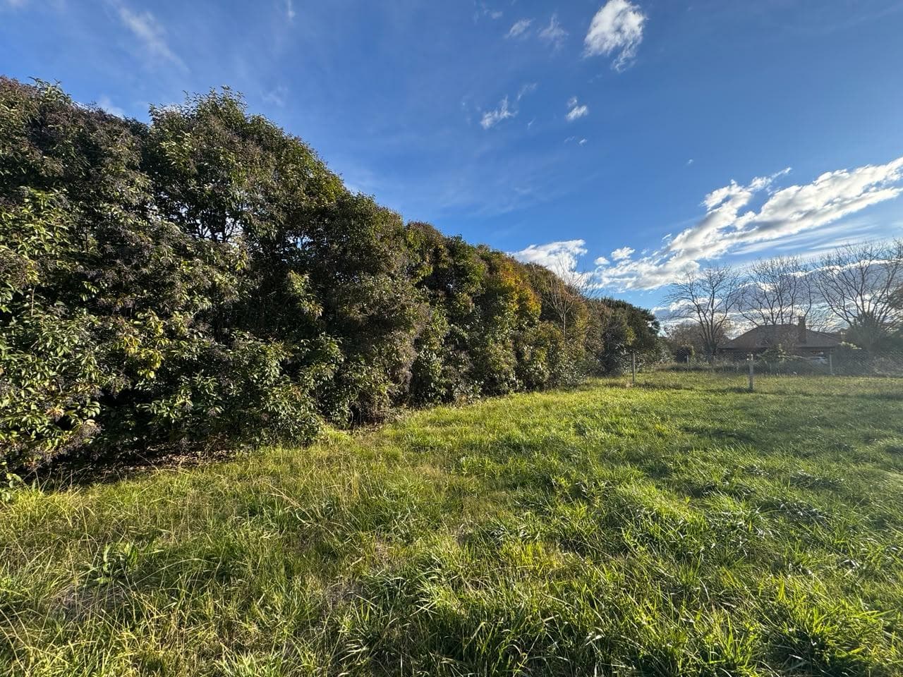 LAND FOR SALE IN VILLA ELISA – IDEAL FOR DEVELOPERS