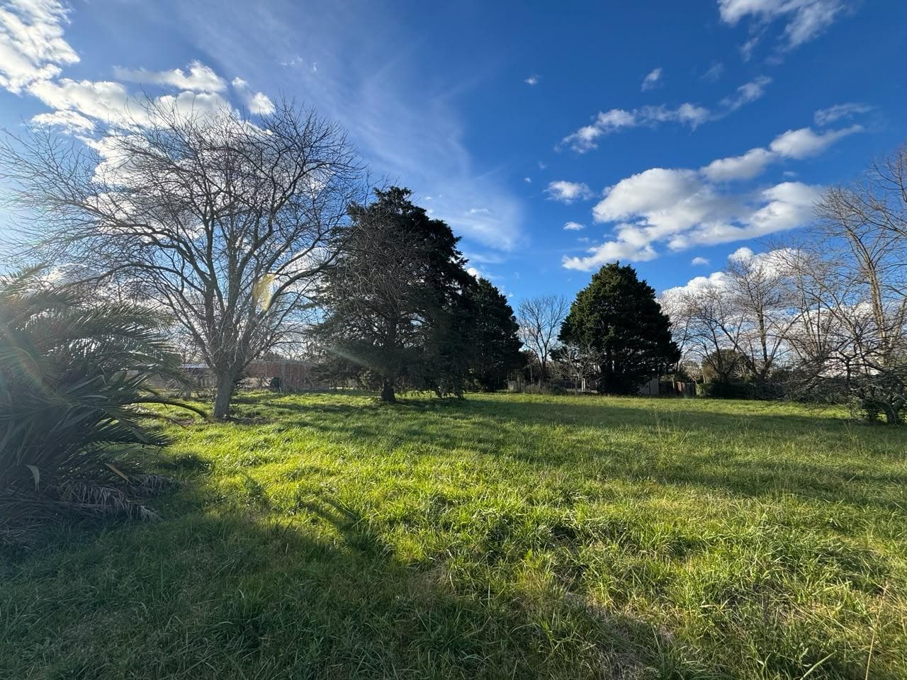 LAND FOR SALE IN VILLA ELISA – IDEAL FOR DEVELOPERS