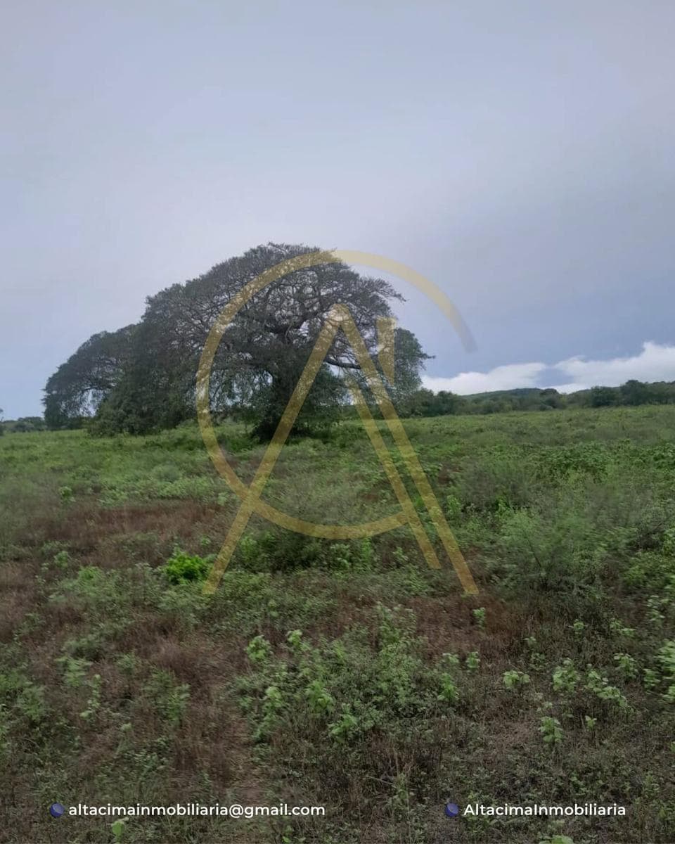 Land in Aldama