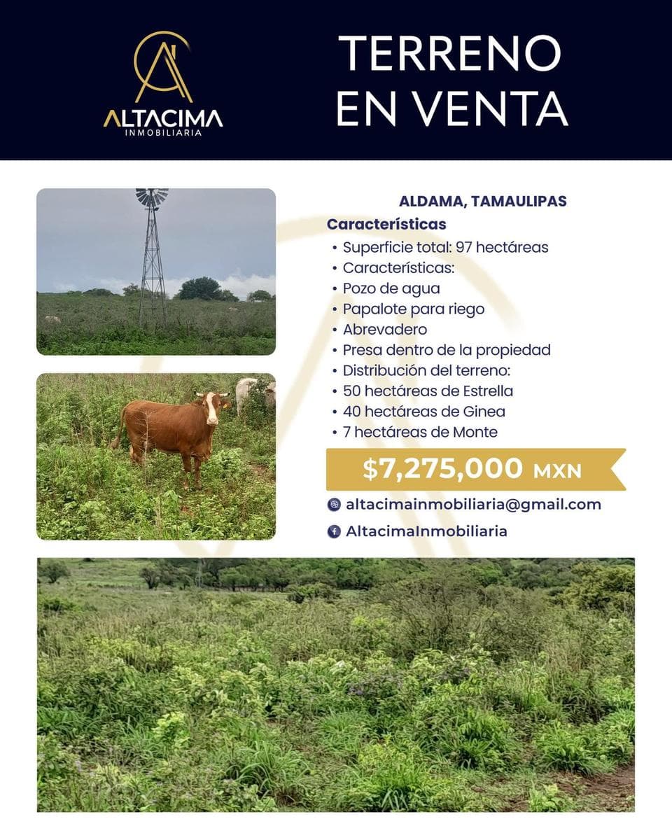 Land in Aldama