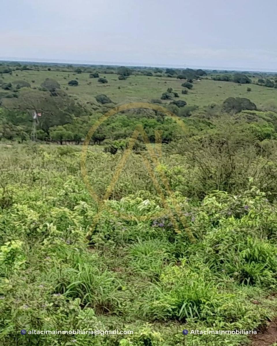 Land in Aldama