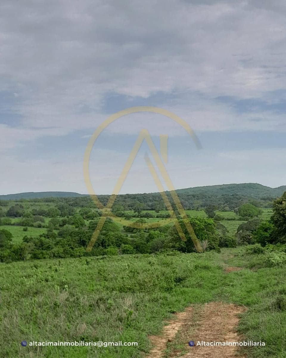 Land in Aldama