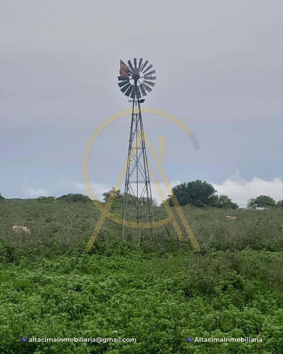 Land in Aldama