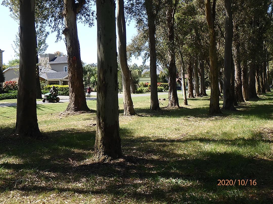 Lot for Sale in Country El Paraíso