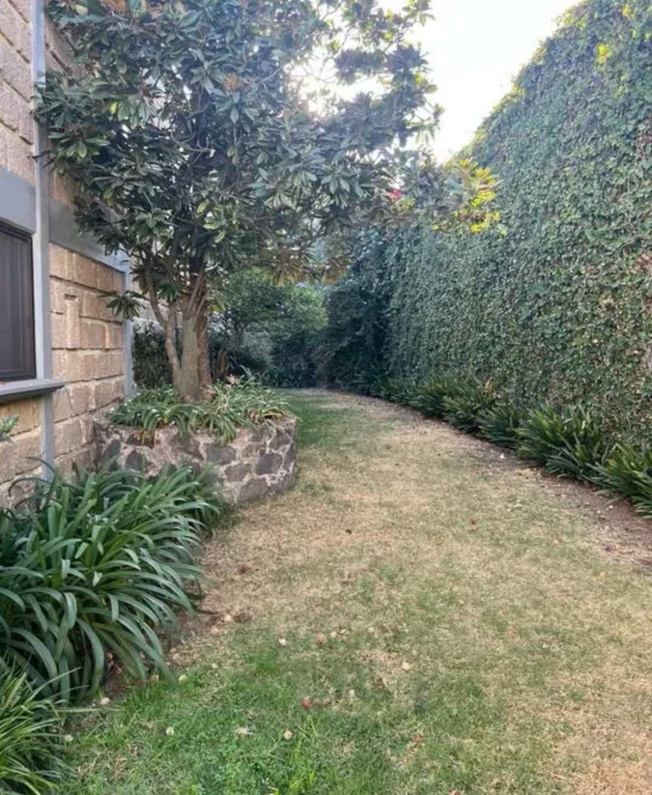 House for Sale in Jardines del Pedregal: 4 Bedrooms, Large Yard