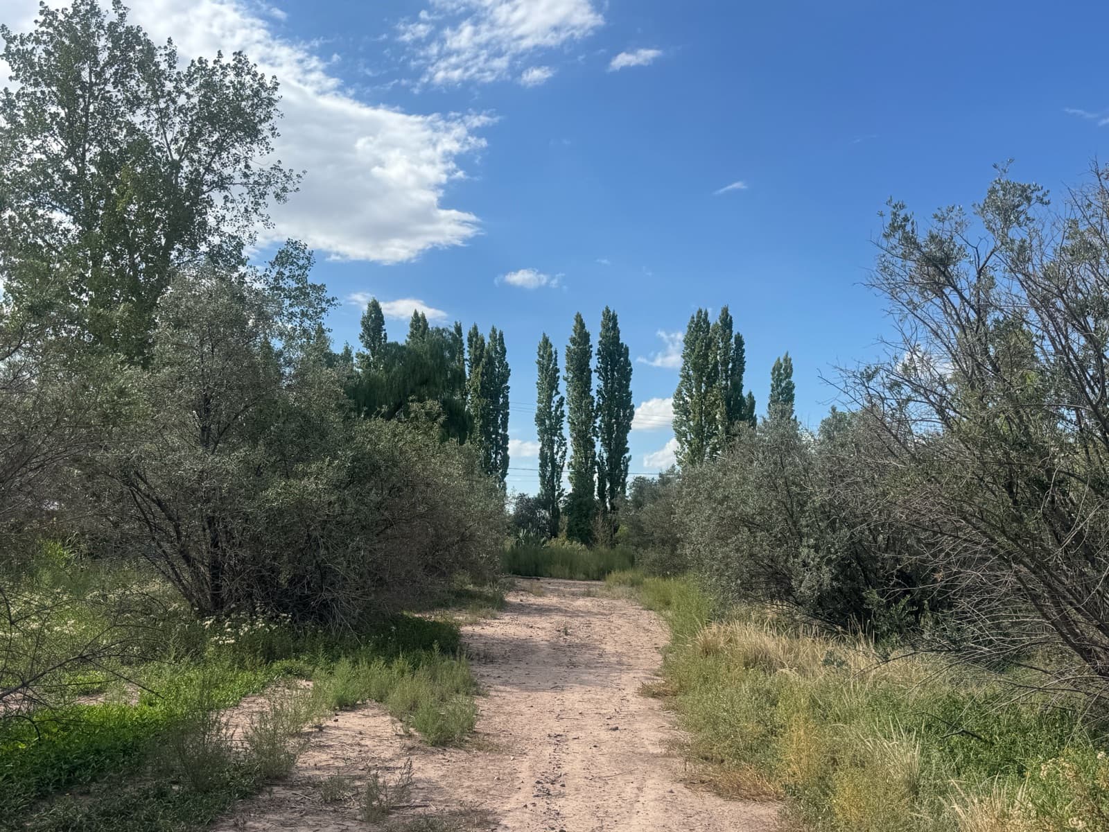 Lot on Route 60 in Maipu