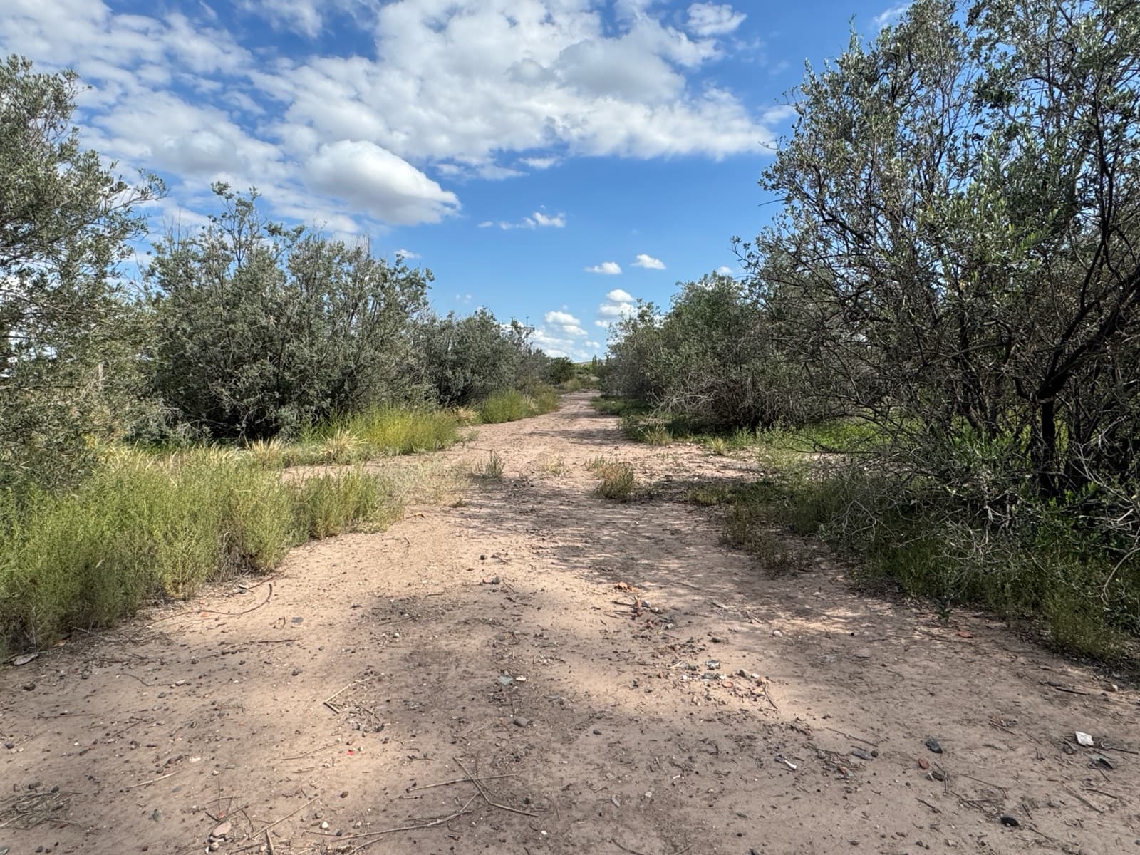 Land along Route 60 in Maipu