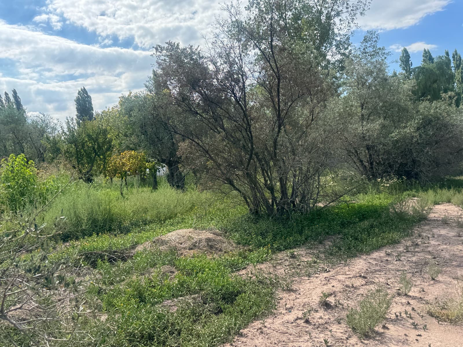 Land along Route 60 in Maipu