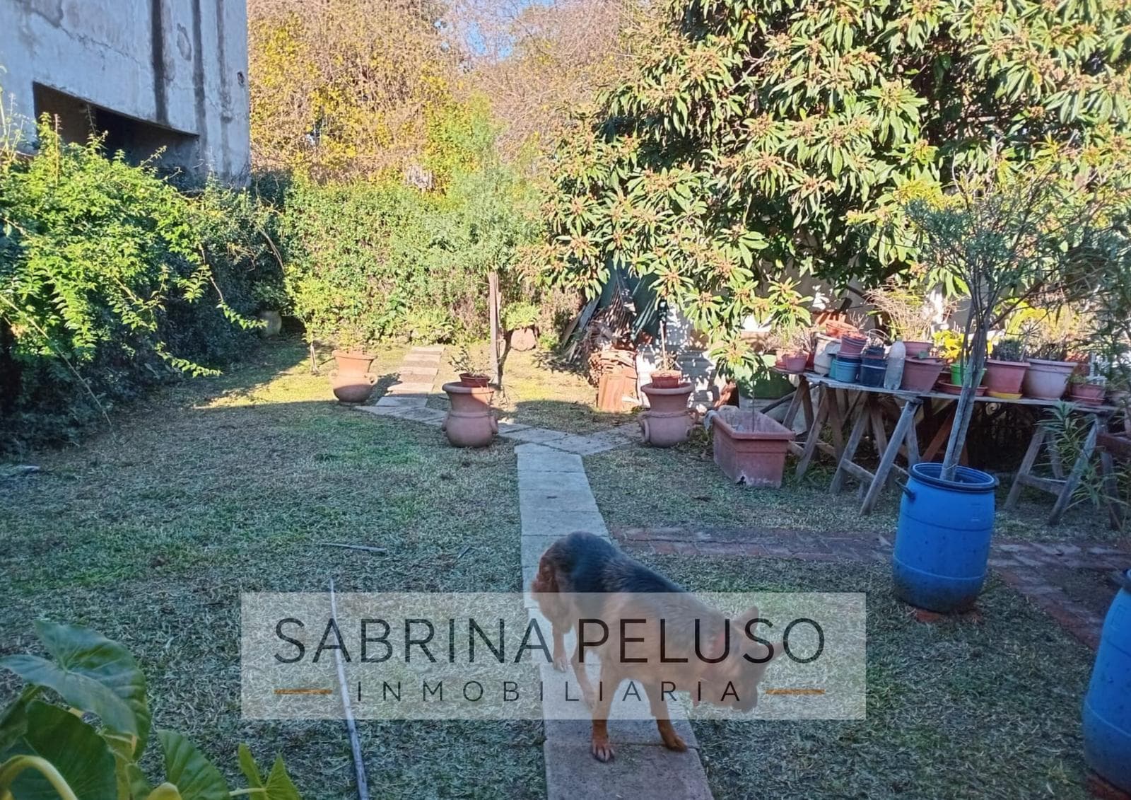 House in Villa Santos Tesei