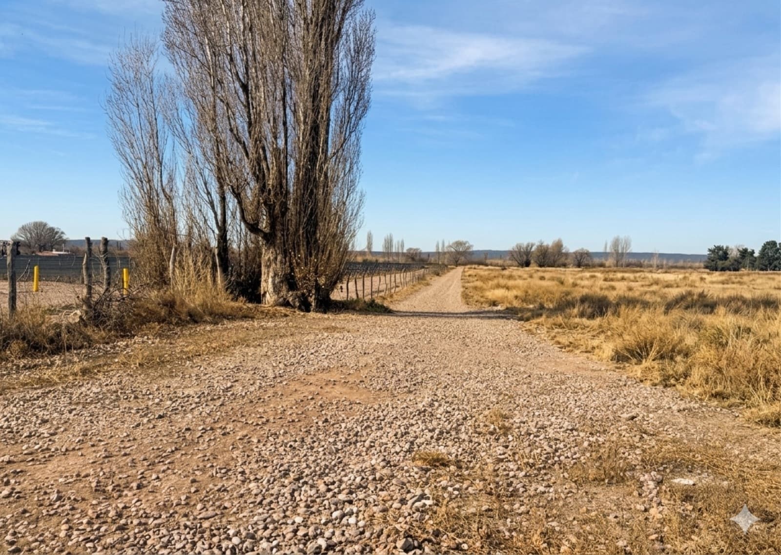 13-hectare plot of land just a few meters from Route 7 in Luján de Cuyo