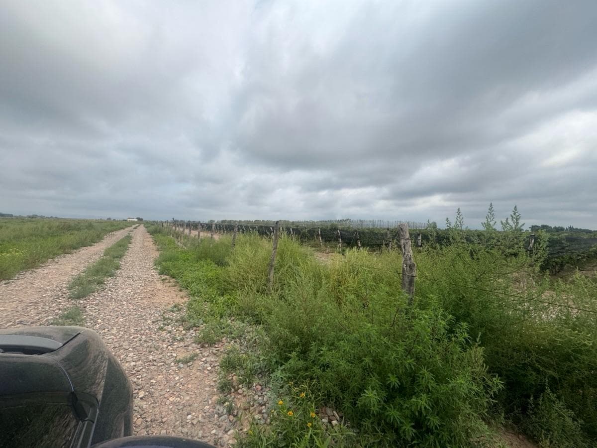 13-hectare plot of land just a few meters from Route 7 in Luján de Cuyo