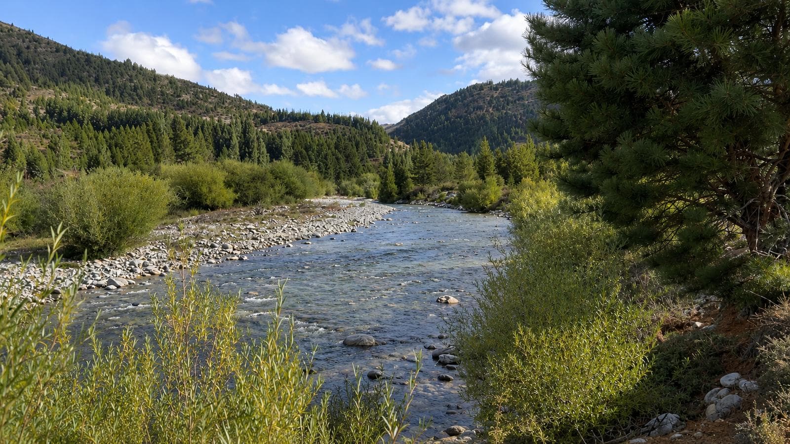 Land in San Carlos de Bariloche