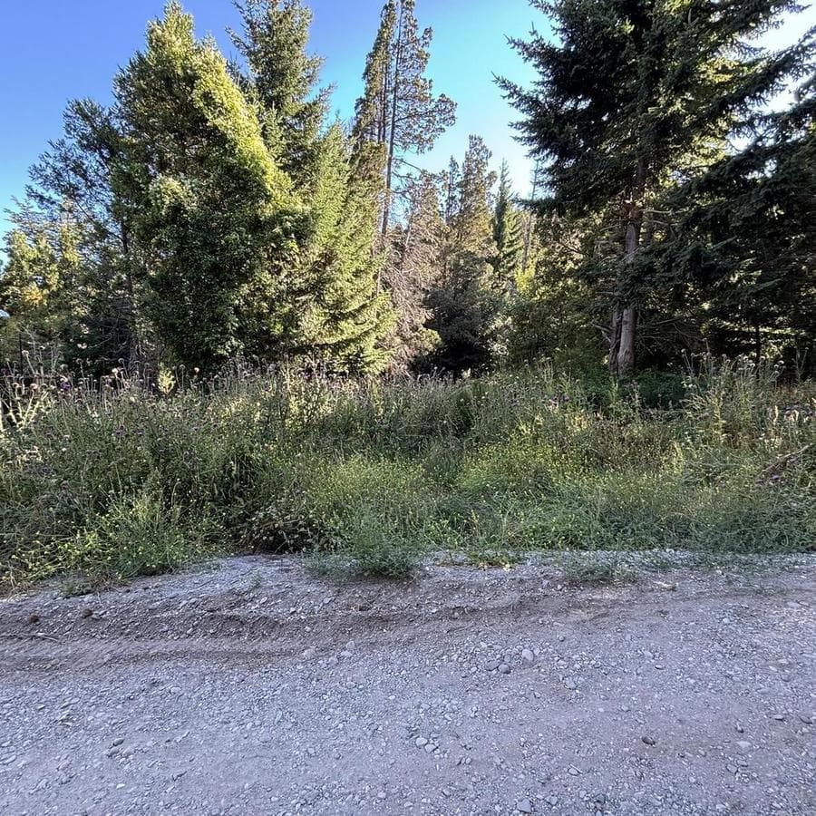 Land for SALE - El Estribo