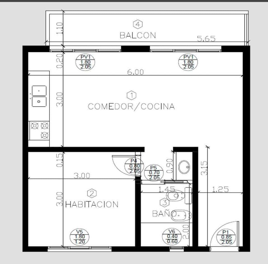 Apartment in Downtown