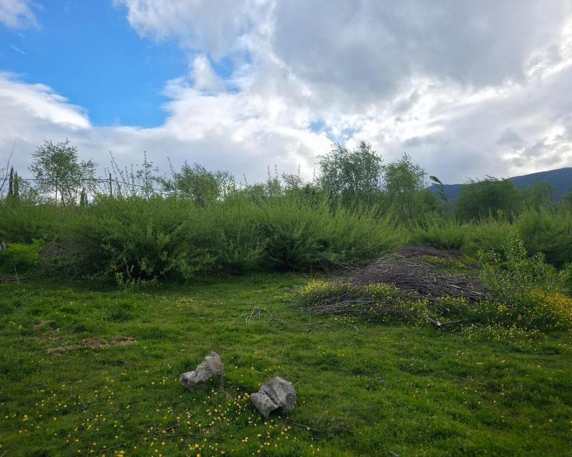 Land in El Bolson