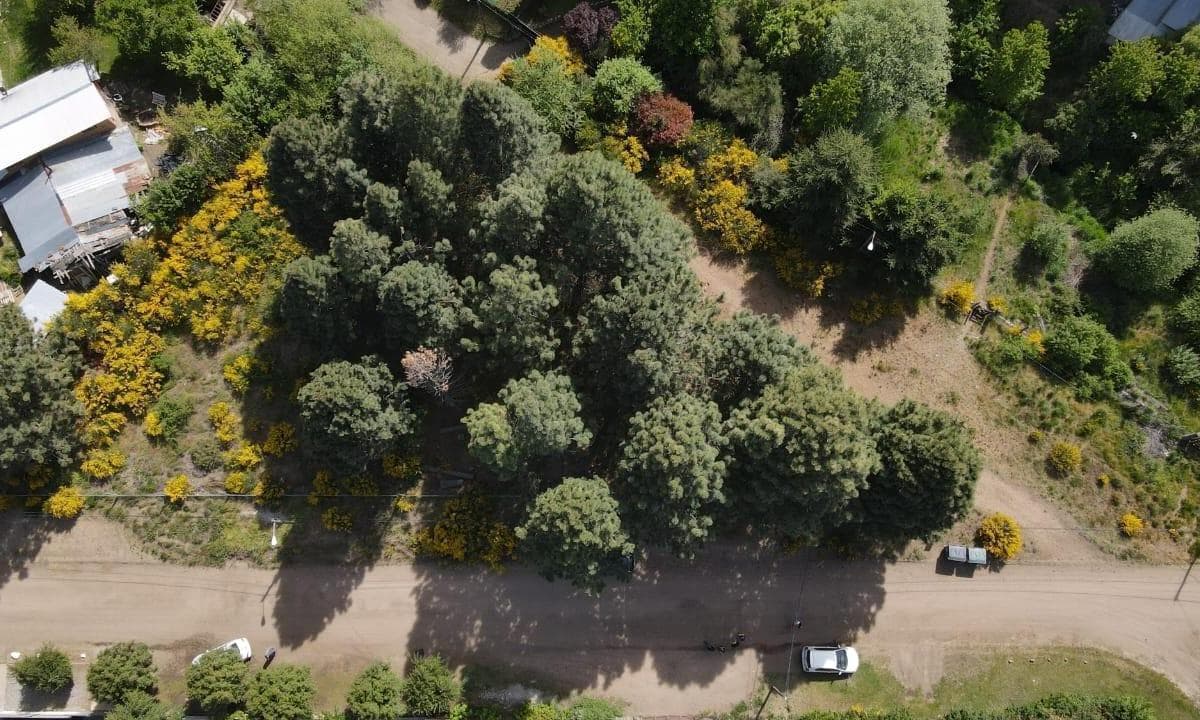 Land in San Carlos de Bariloche