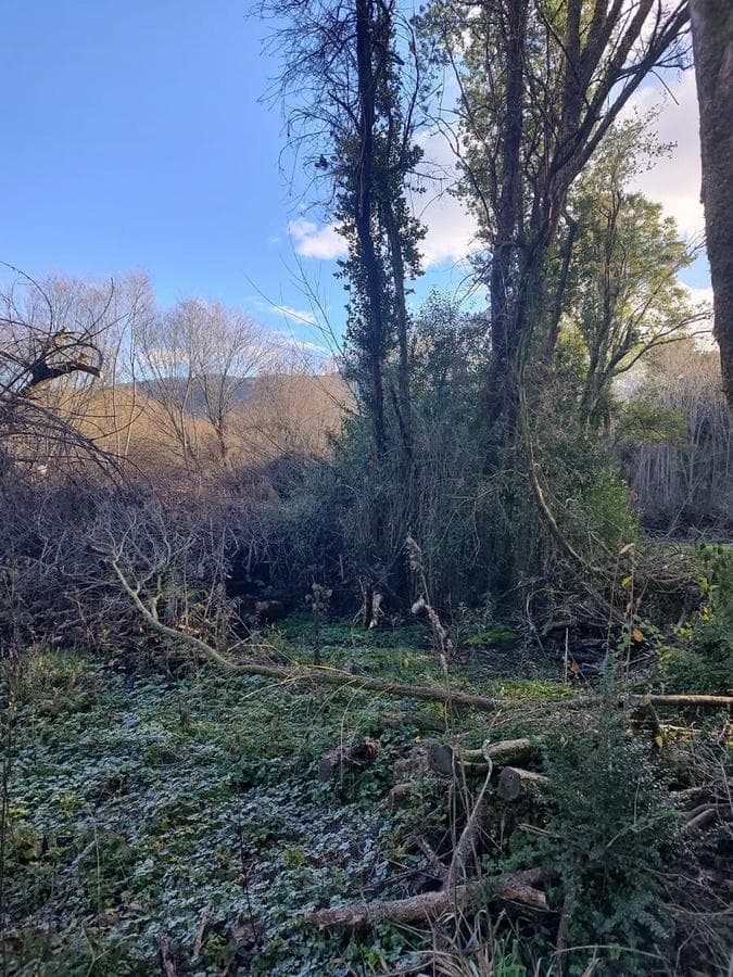 Land for Sale in Cerro Radal, Route 16