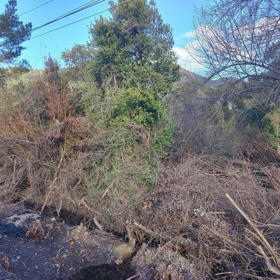 Land for Sale in Cerro Radal, Route 16