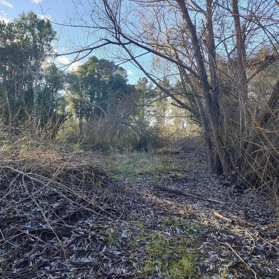 Land for Sale in Cerro Radal, Route 16