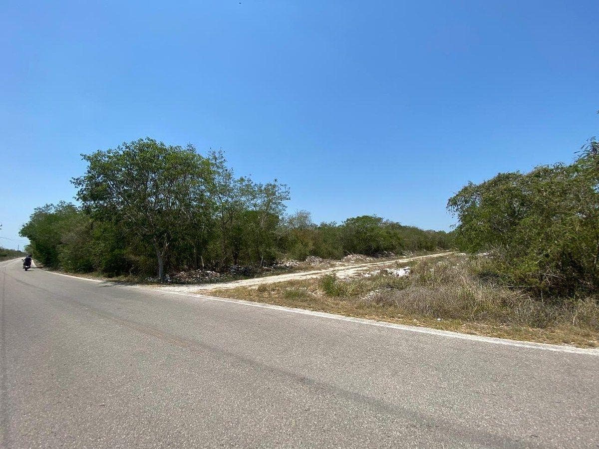 Lots for SALE north of Mérida in Kikteil, on the street level