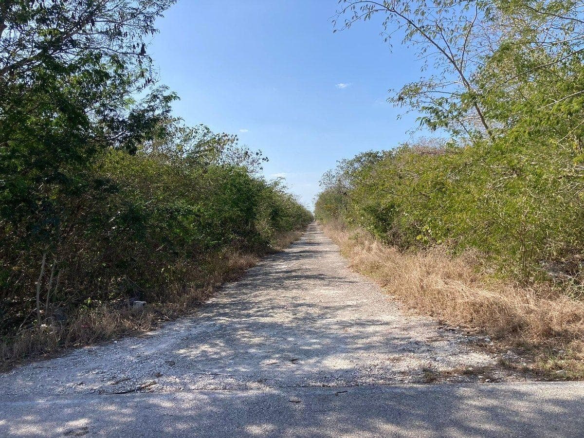 Lots for SALE north of Mérida in Kikteil, on the street level