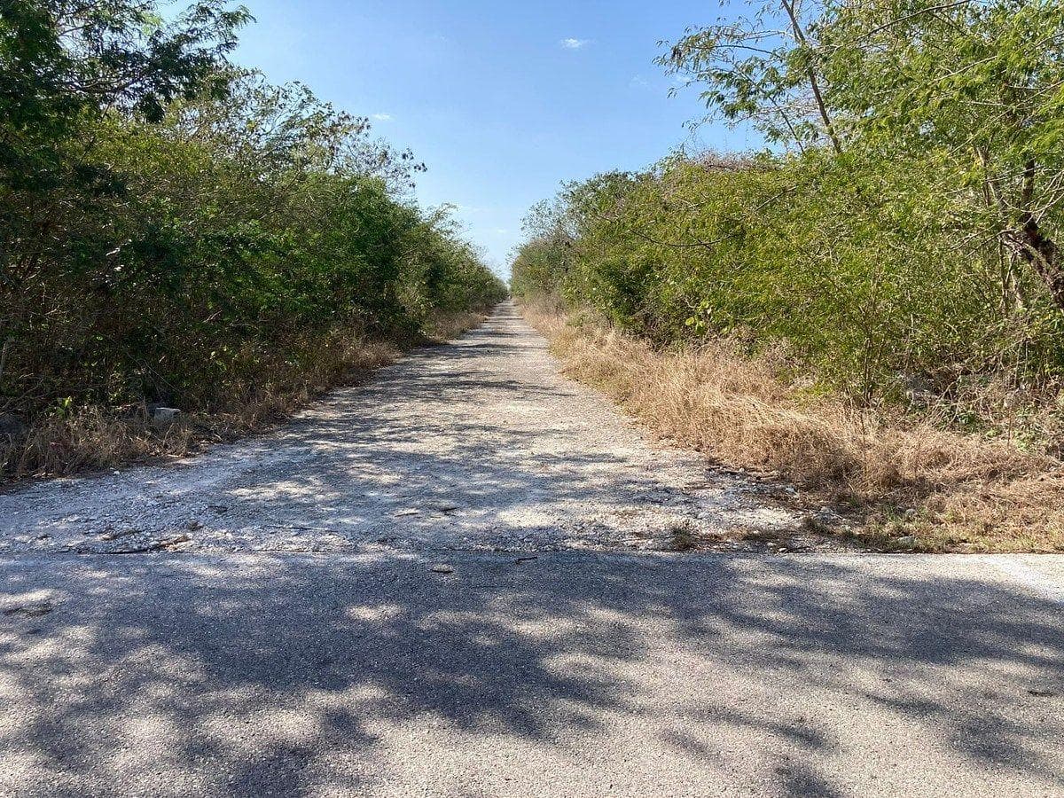 Lots for SALE north of Mérida in Kikteil, on the street level