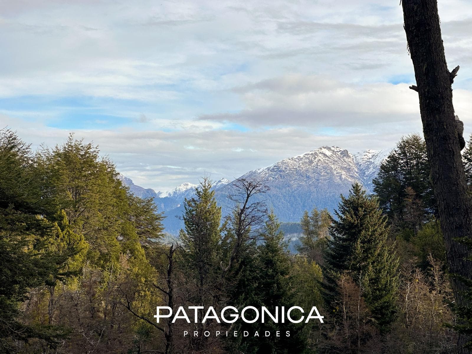 1,391 m² lot with a view of the mountains - Faldeo del Bayo.