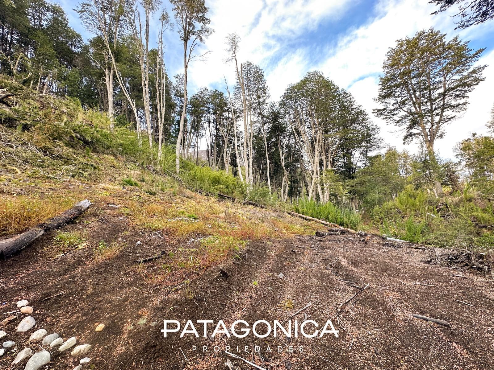 1,391 m² lot with a view of the mountains - Faldeo del Bayo.