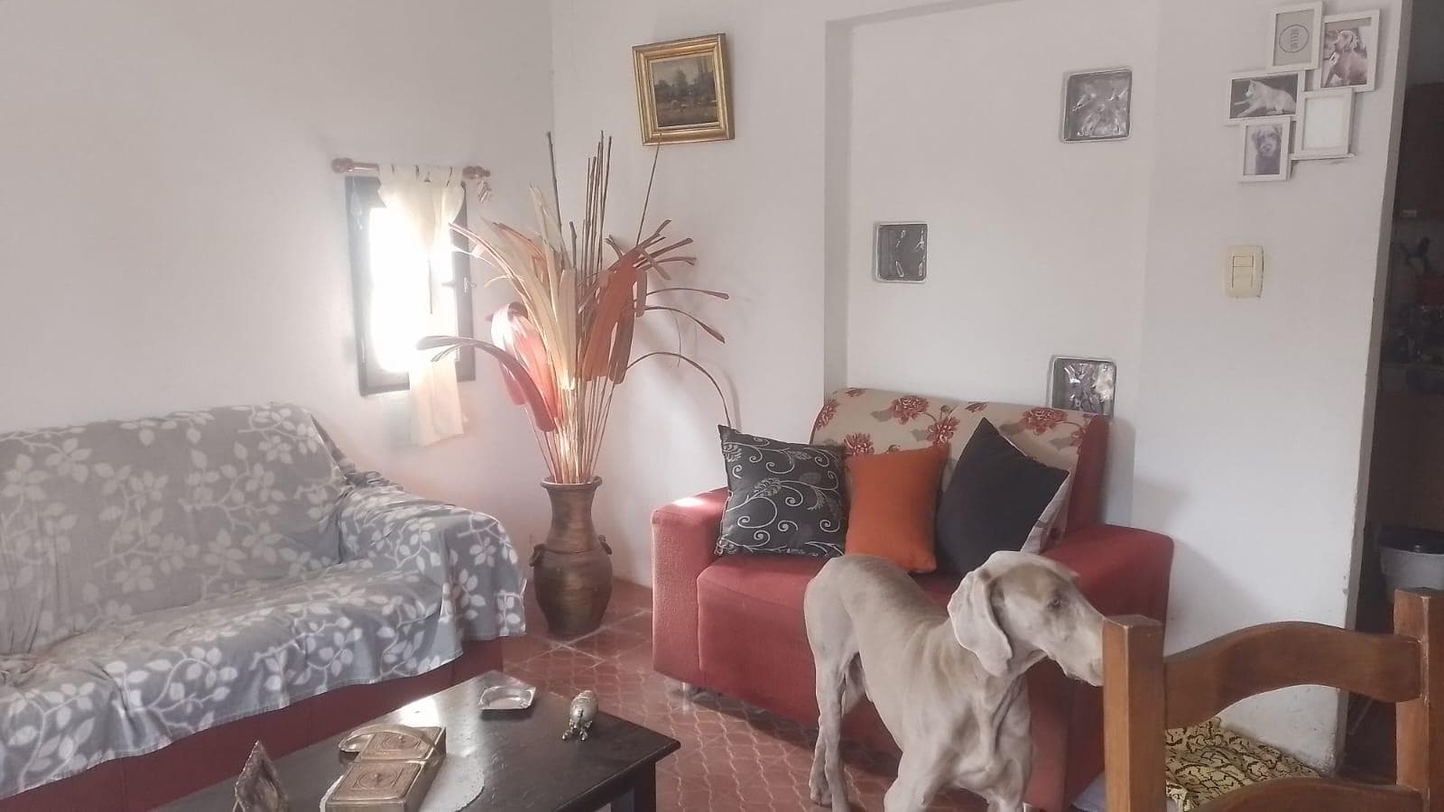House in San Alfonso