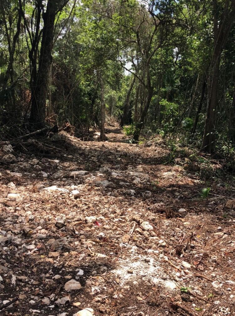 LAND FOR SALE ON THE CENOTE ROUTE IN PUERTO MORELOS, 5,000 M2