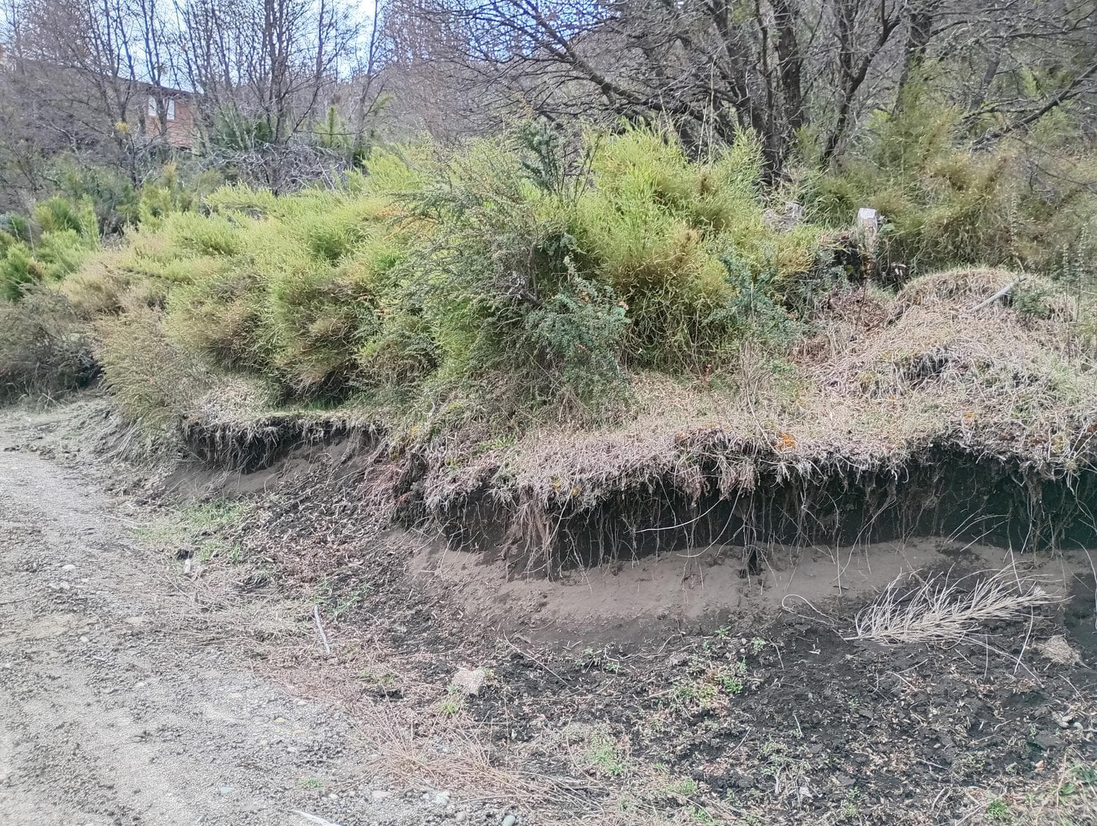 Land in Rio Hermoso