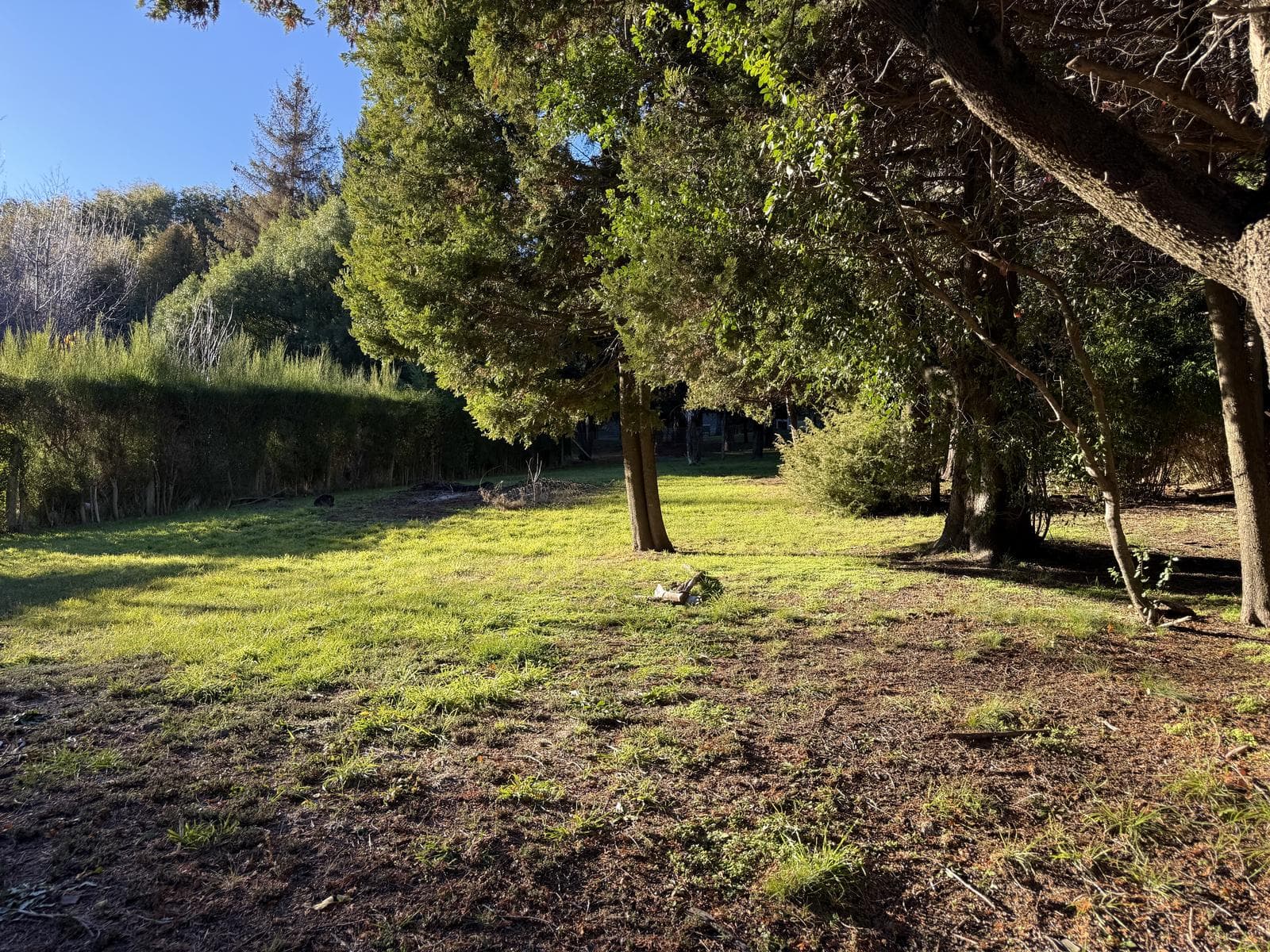Land for Sale in Villa Campanario