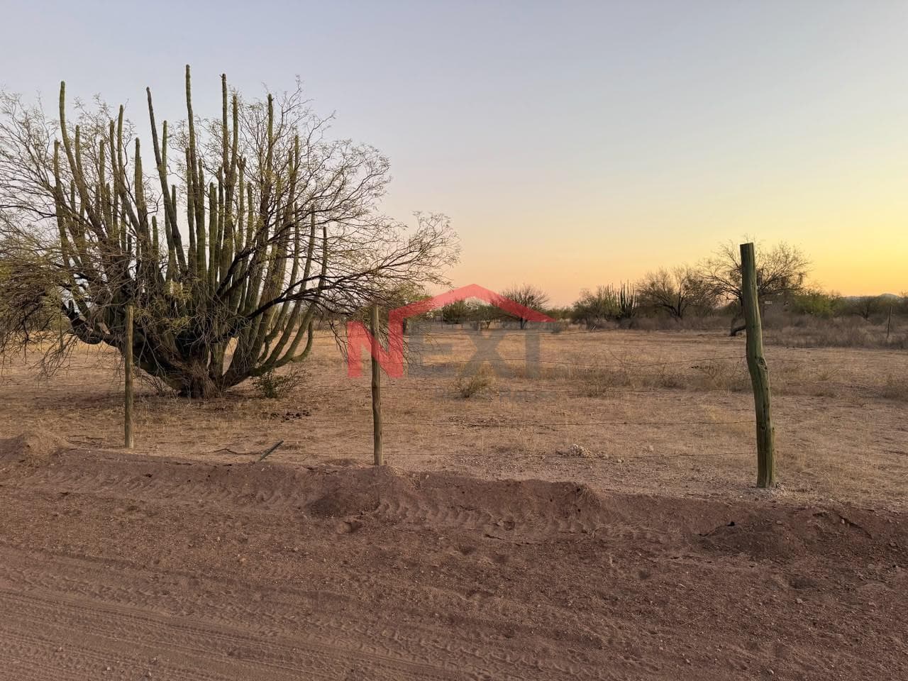LAND FOR SALE IN CAMPESTRE JIMENEZ