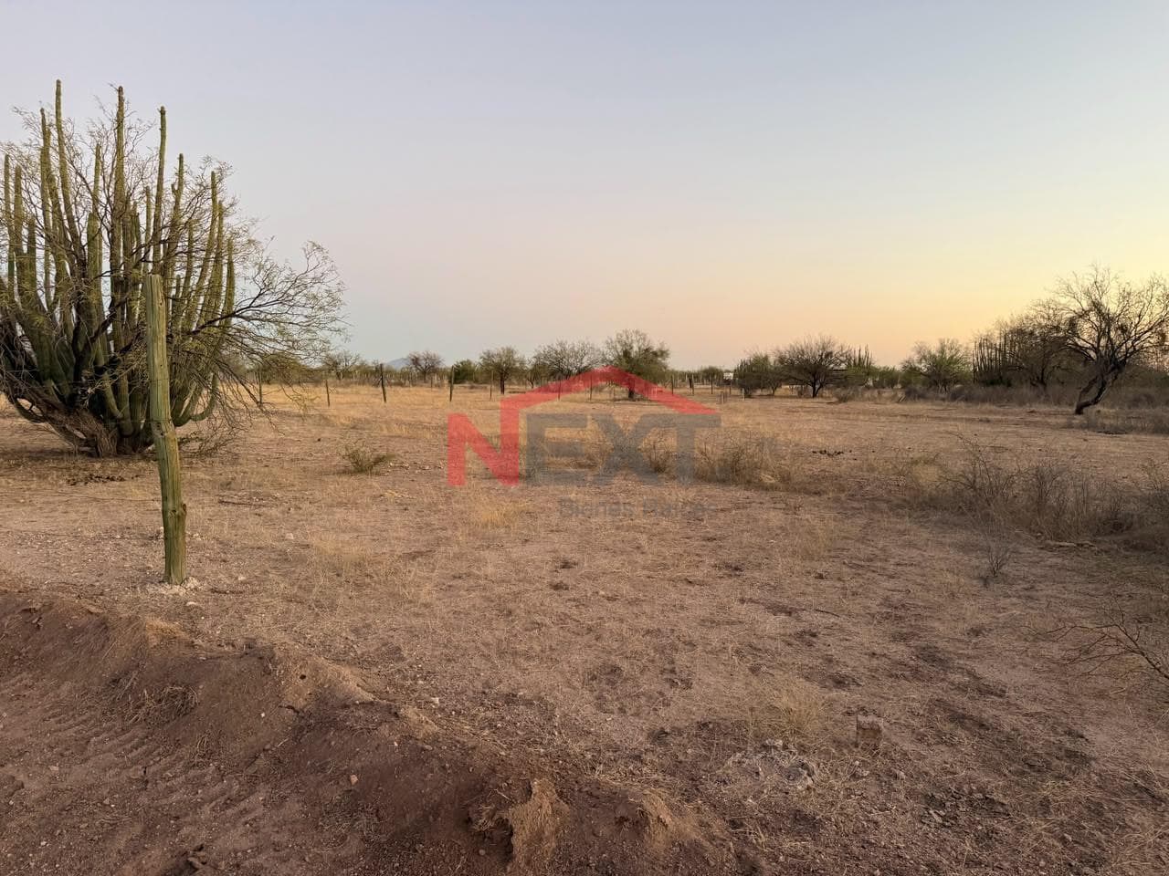 LAND FOR SALE IN CAMPESTRE JIMENEZ