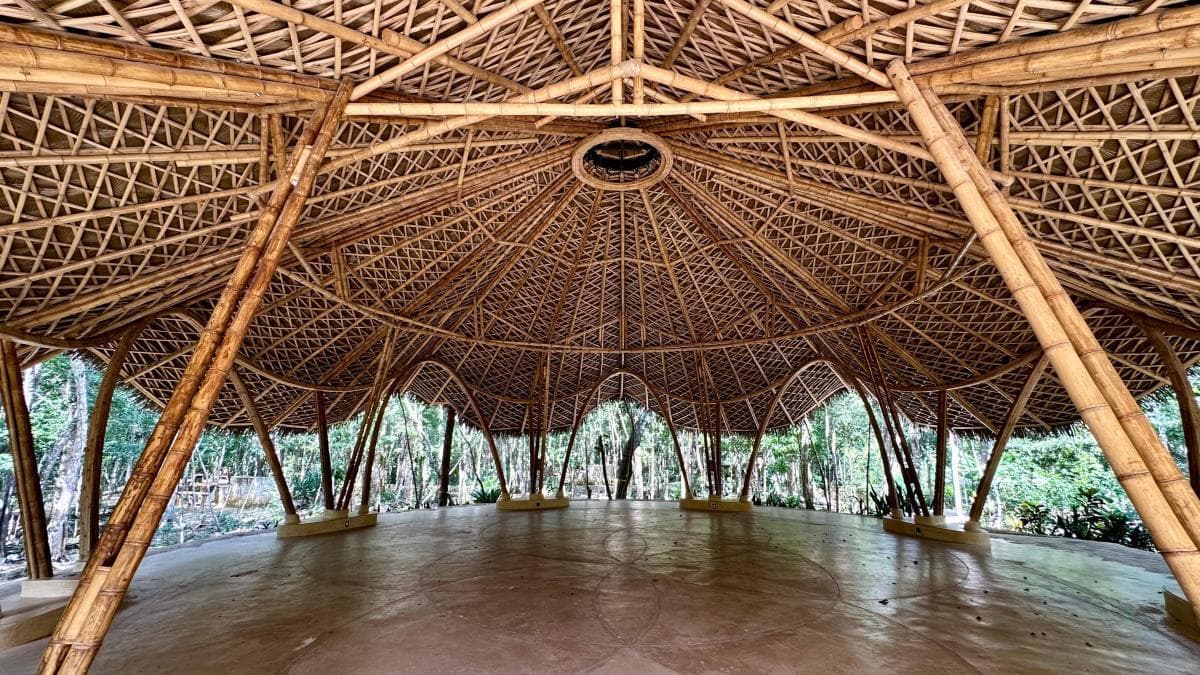 LAND FOR SALE IN TULUM: ADJOINING LOTS