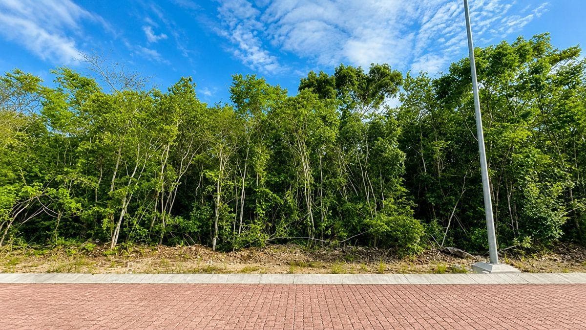 LAND FOR SALE IN ALTAI NEAR AMENITIES