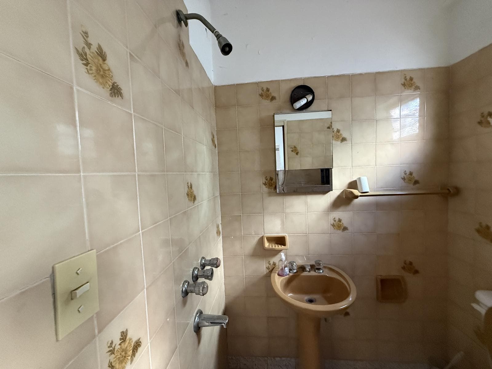 House in Villa Urquiza