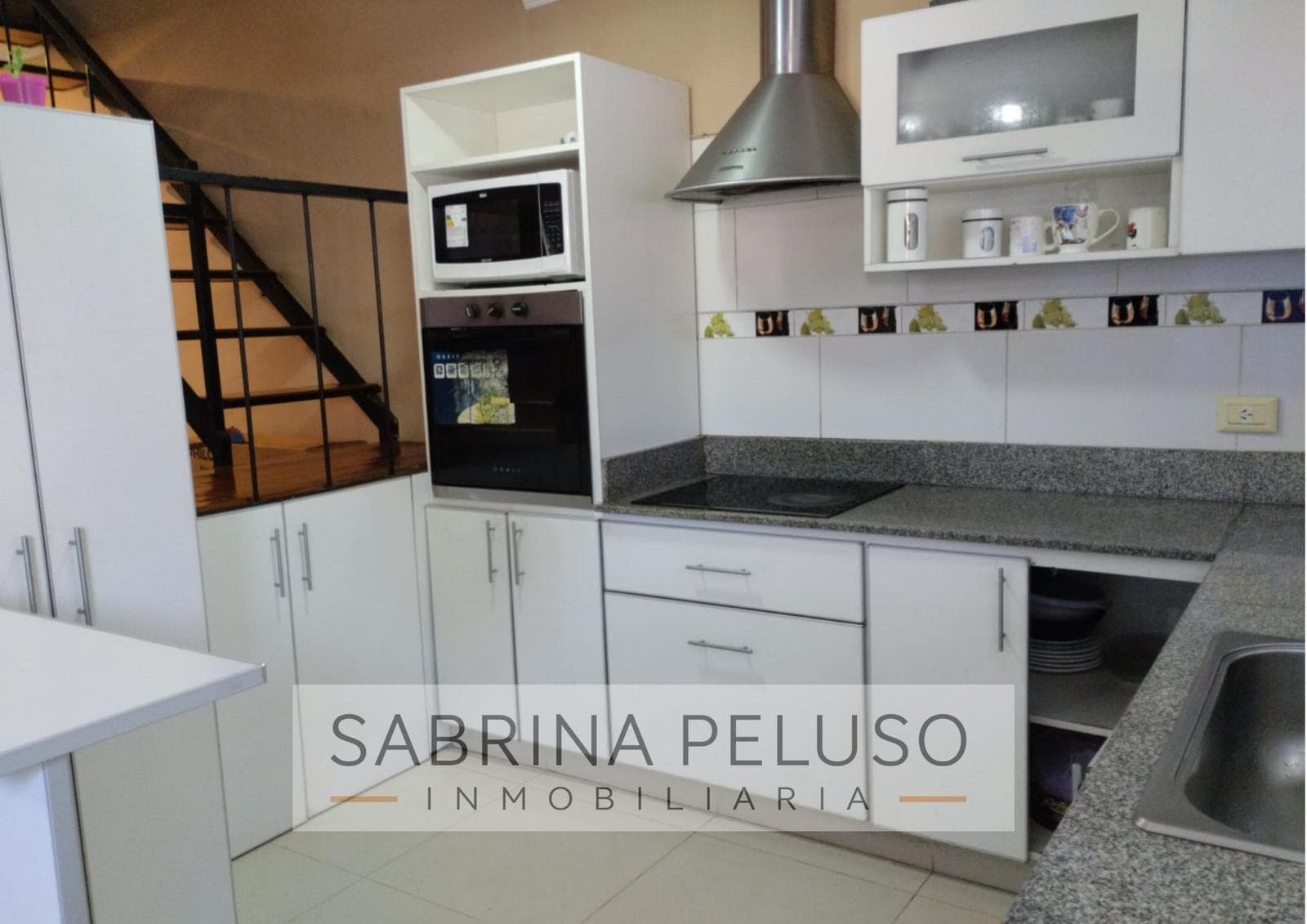 House in Paso Del Rey