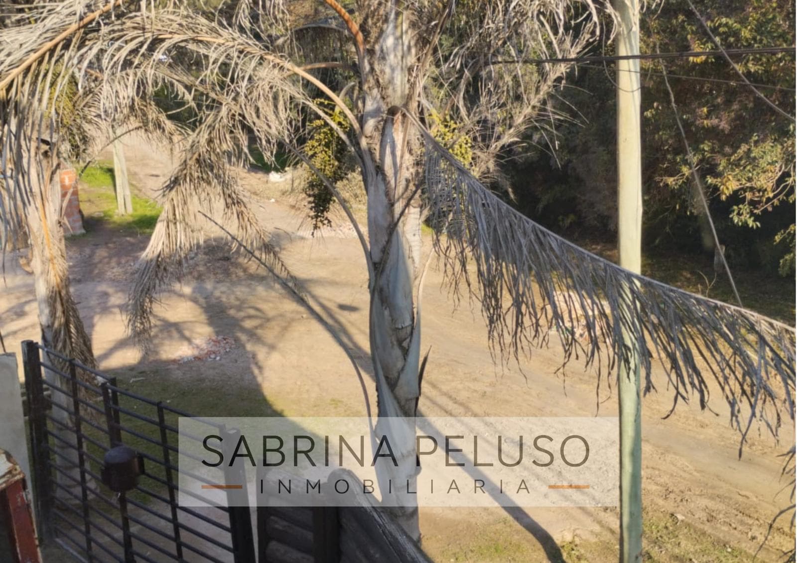 House in Paso Del Rey