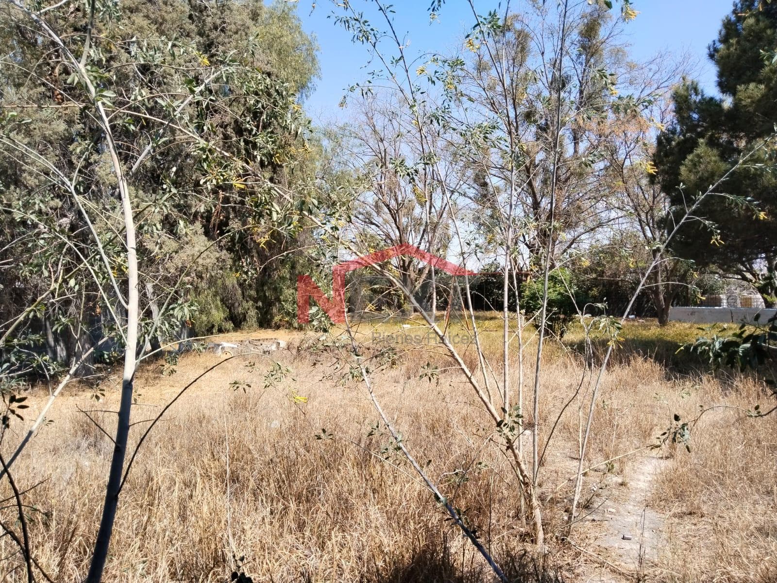 Land for Sale in Ramos Arizpe