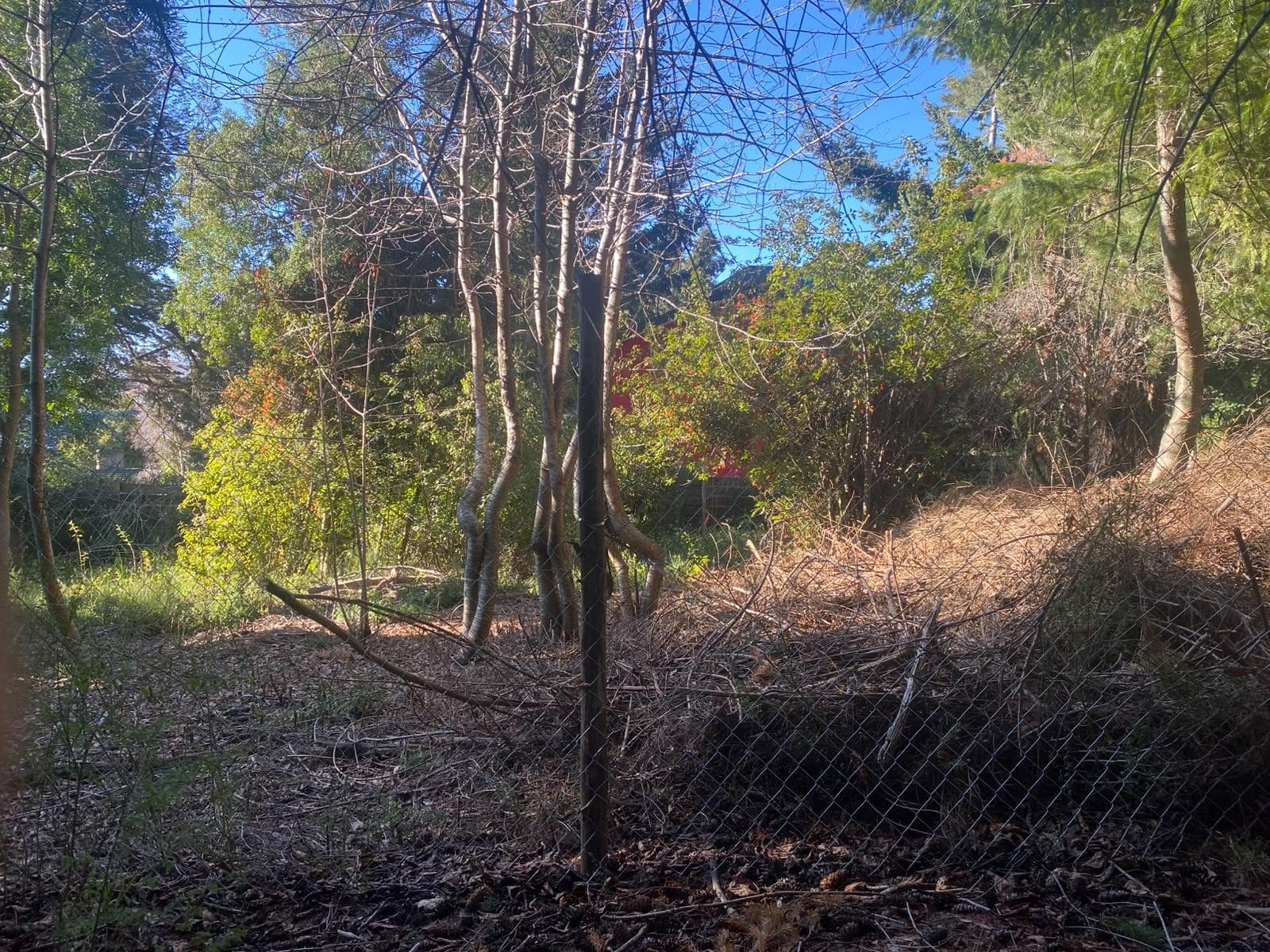 Land in San Carlos de Bariloche